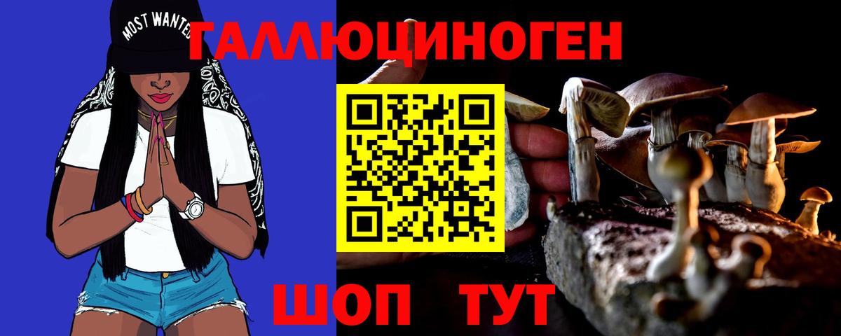 Жигулёвск  Псилоцибиновые грибы MAGIC MUSHROOMS  Вход с VPN 